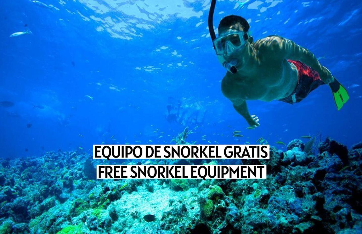 Apartalux Premium Suites グラオ・デ・カステヨン エクステリア 写真